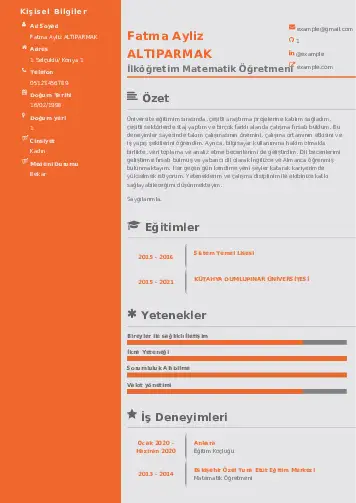 Matematik Öğretmeni Cv Örnekleri cv indir